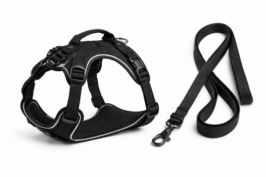 Guinzaglio con Pettorina Petamys – Taglia L