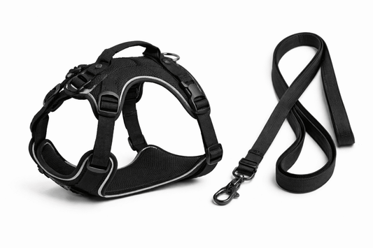 Guinzaglio con Pettorina Petamys – Taglia L - Petamys