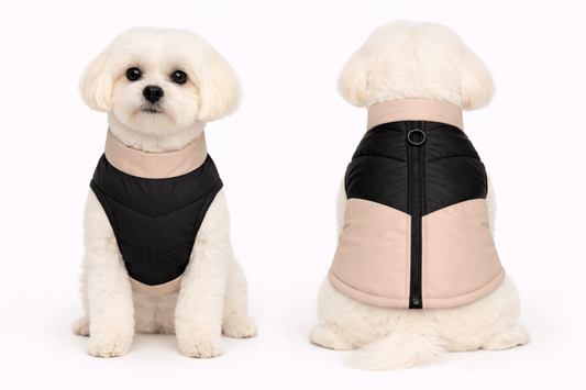 Giubbino Bomber Petamys – Luxury Edition - Petamys