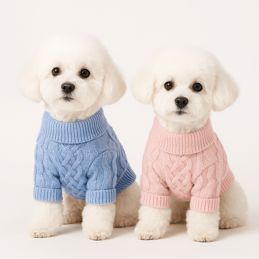 Maglioncino Petamys - Pullover in Lana per Cani di Piccola Taglia (Edizione Limitata) - Petamys