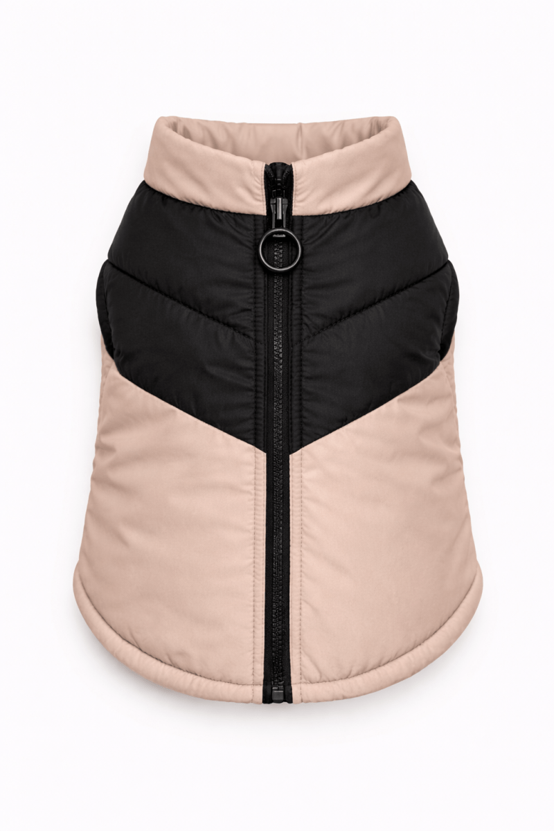 Giubbino Bomber Petamys – Luxury Edition - Petamys