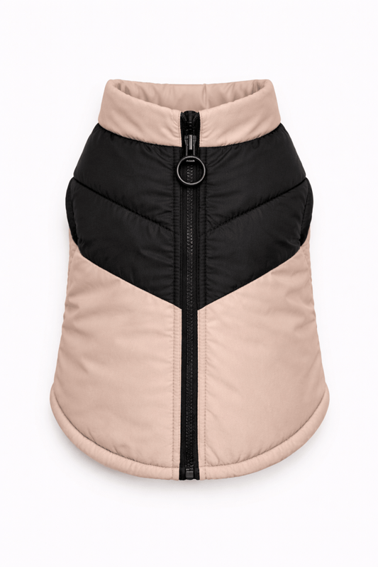 Giubbino Bomber Petamys – Luxury Edition - Petamys