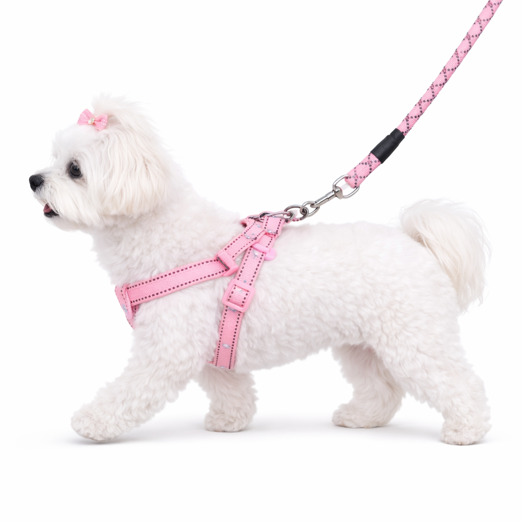 Pettorina Regolabile per Cane con Guinzaglio Resistente - Set ComfortWalk™ Petamys Edition