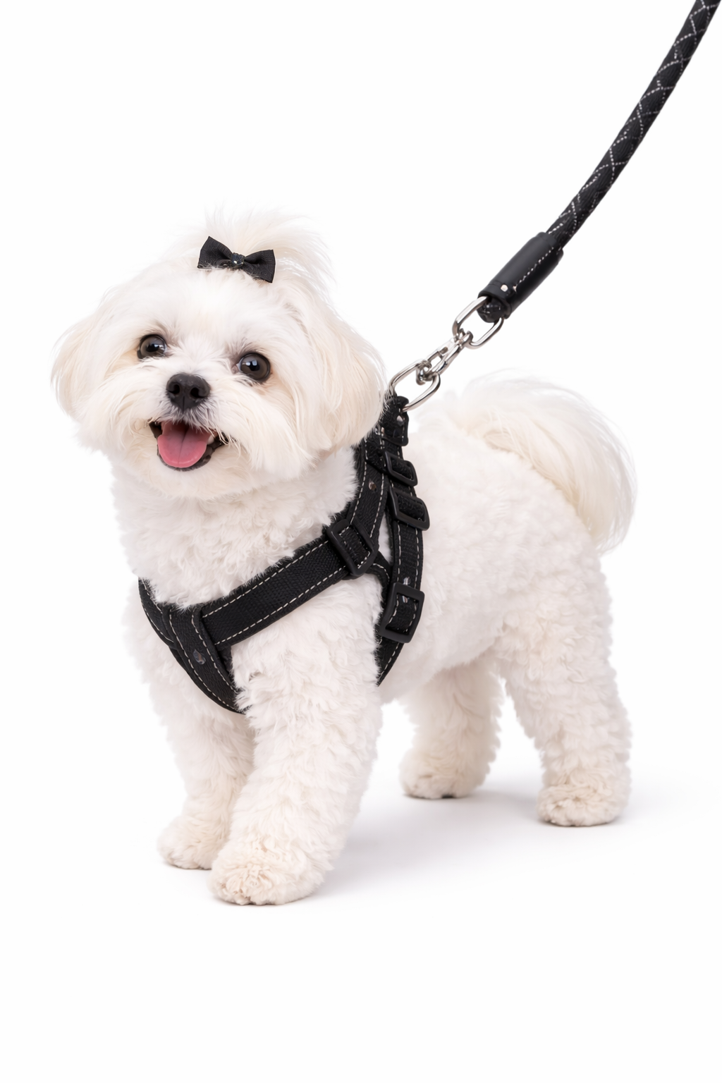 Pettorina Regolabile per Cane con Guinzaglio Resistente - Set ComfortWalk™ Petamys Edition
