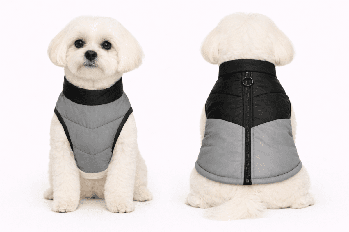 Giubbino Bomber Petamys – Stile Luxury - Petamys